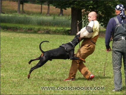 Training camp - Lukova 2007